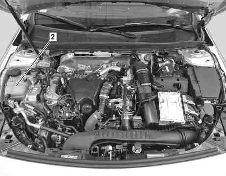 Sostituire il liquido di raffreddamento del circuito principale